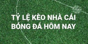 Tỷ Lệ Kèo Nhà Cái Là Gì? Cách Đọc Kèo Chuẩn Nhất Tại QQ88